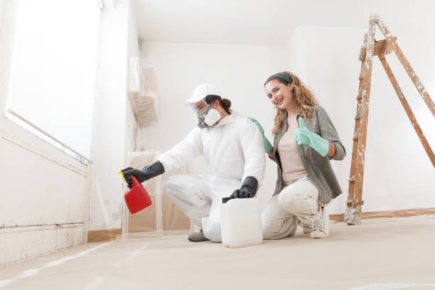 Mold Remediation for Rental Properties in Chepachet, RI